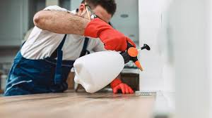 Emergency Pest Control Services in Villas, NJ